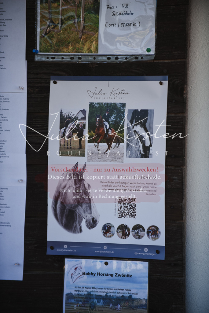 DSC_2657 | Pferde- und Turnierfotografie in Westsachsen. Pferdeportraits, Auftragszeichnungen und intuitive Kunst.