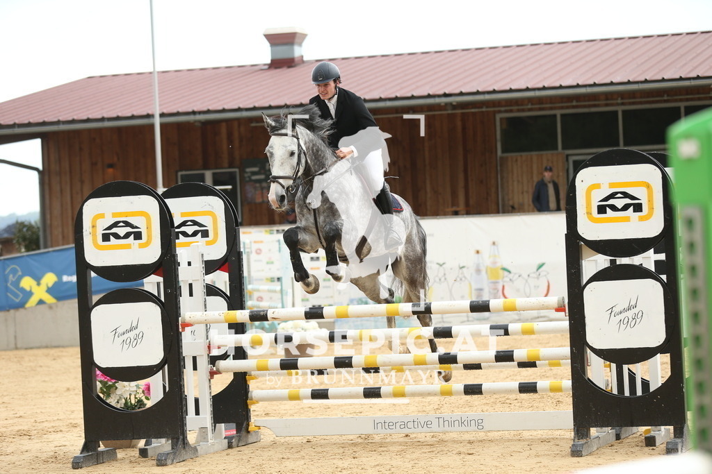 DL2Q2044 | Willkommen bei Brunnmayr - Design & Fotografie – Ihrem Spezialisten für Reitturniere und Pferdeveranstaltungen in Oberösterreich, Salzburg und Bayern! Seit über 17 Jahren sind wir leidenschaftlich dabei.