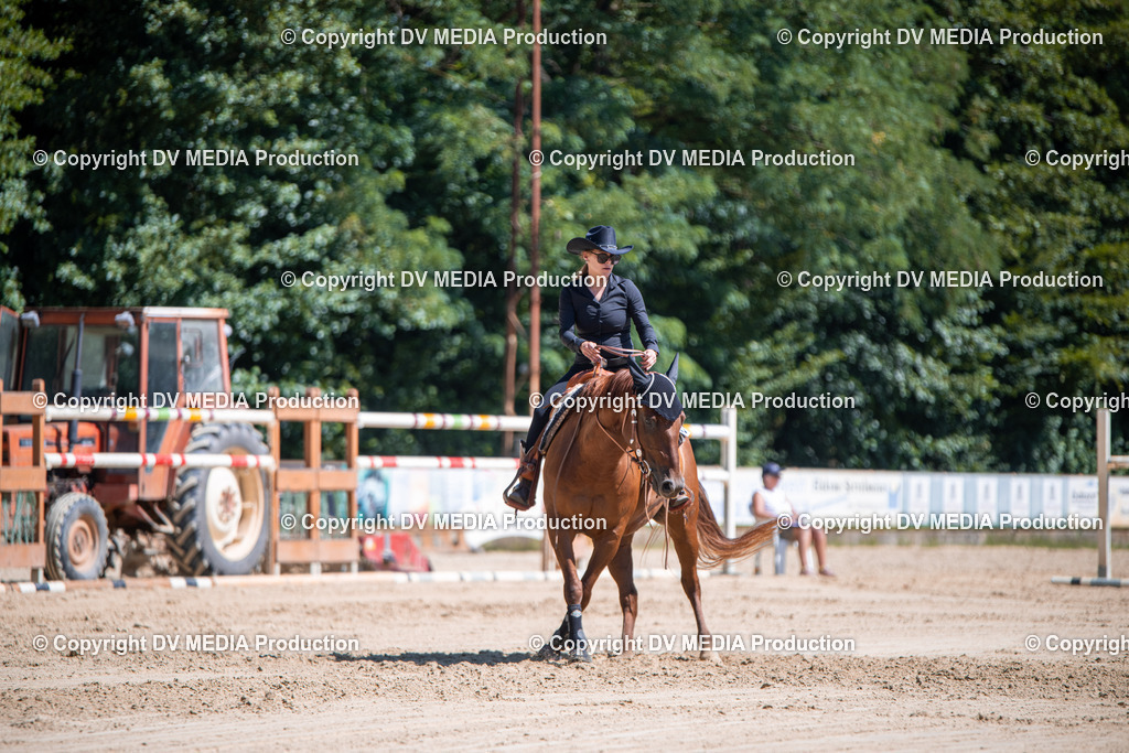 ZS1_1039 | dv-media-shop - Realisiert mit Pictrs.com