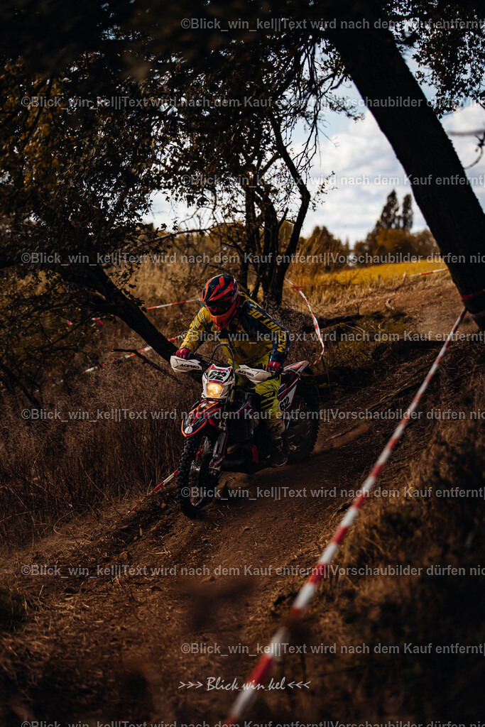 E68A3044 | blick_win_kel