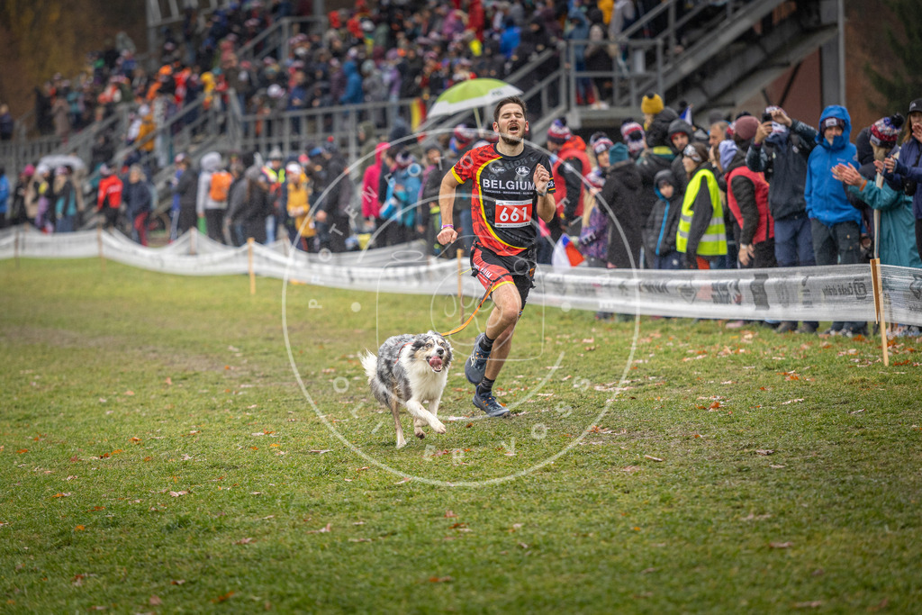 CaniXpix_DV3A9955 | Hundefotografie, Tierfotograf, Pfotenfotografie, Fotoshooting Hund, Hunde Portrait, Hundesport, Hundeportraits, Heideshooting, Hunde, Sportfotograf, Hundefotograf, Turnierhundsport, THS,  - Realisiert mit Pictrs.com