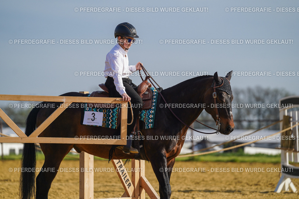 DSC00815 | Pferdegrafie