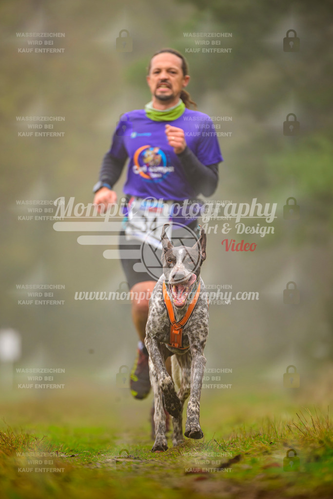 MompixPhotography_Bischwiller2025_Canicross-42 | mompixphotography