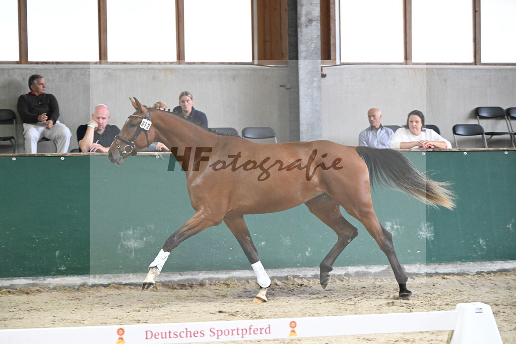 Kat-Nr. 12 Ehawee v. Colestus_Fischer_27150061 | hf-fotografie - Realizzato con Pictrs.com