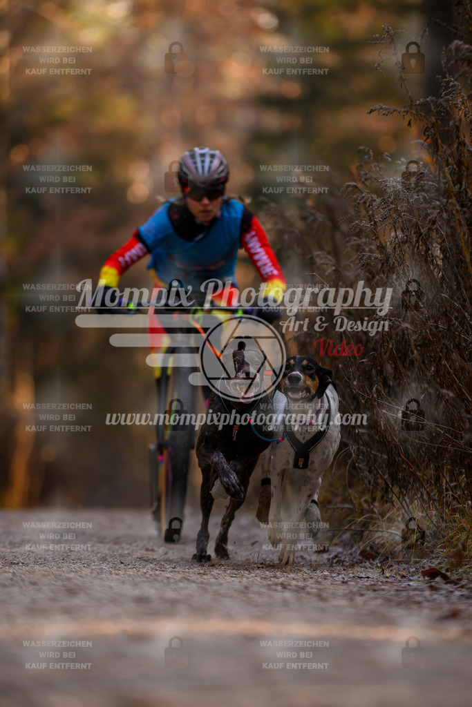 MompixPhotography_DM_AKDM_SO_2025_Scooter-2 | PayLife