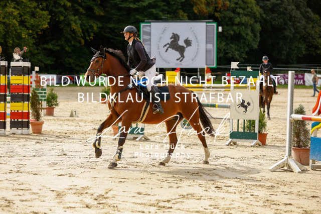 _62_9224 | larahueckfotografie