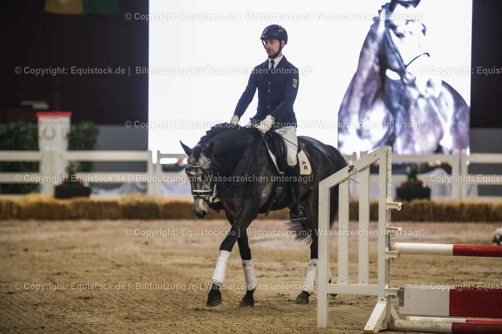 20240302_Hengstvorstellung_Marbach_TOMsPiC_0196-2 | equistock