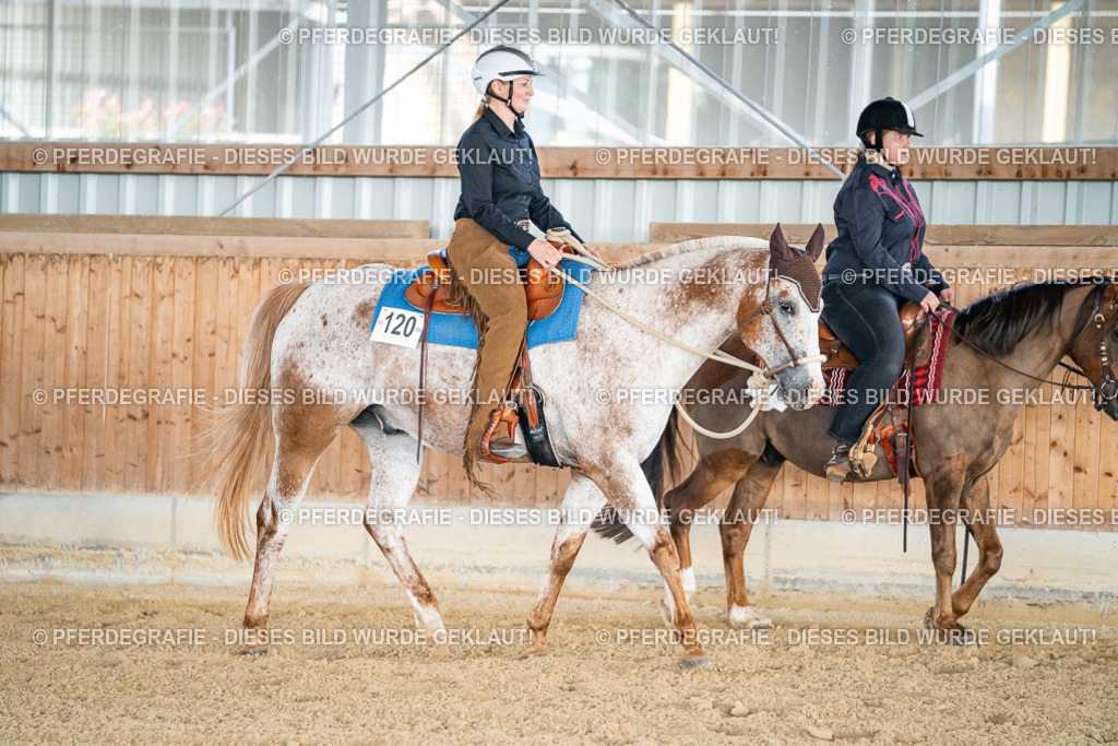 DSC08526 | Pferdegrafie