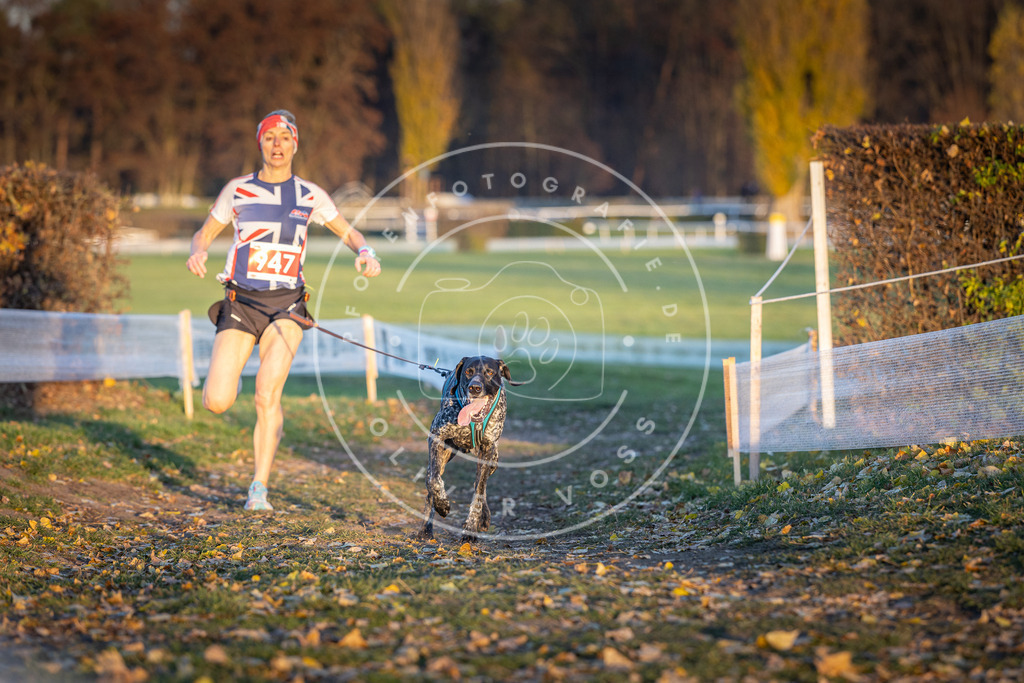 CaniXpix_DV3A5514 | Hundefotografie, Tierfotograf, Pfotenfotografie, Fotoshooting Hund, Hunde Portrait, Hundesport, Hundeportraits, Heideshooting, Hunde, Sportfotograf, Hundefotograf, Turnierhundsport, THS,  - Realisiert mit Pictrs.com