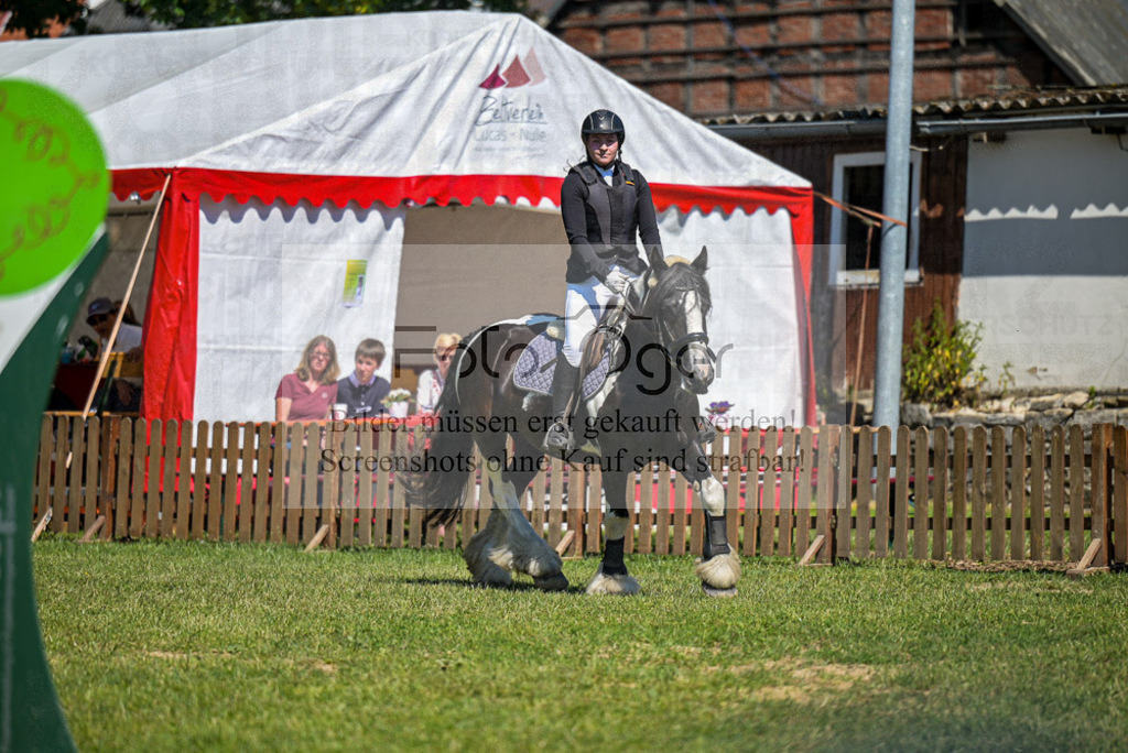 Reitturnier Voxtrup | Entdecke hochwertige Reitturnierfotos von Foto Oger. Professionell, emotional und authentisch – jetzt Lieblingsmomente im Shop bestellen.Deutschlandweite Turnierfotografie. - Realisiert mit Pictrs.com