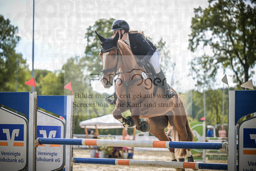 DOS_2729 | Entdecke hochwertige Reitturnierfotos von Foto Oger. Professionell, emotional und authentisch – jetzt Lieblingsmomente im Shop bestellen.Deutschlandweite Turnierfotografie. - Realisiert mit Pictrs.com