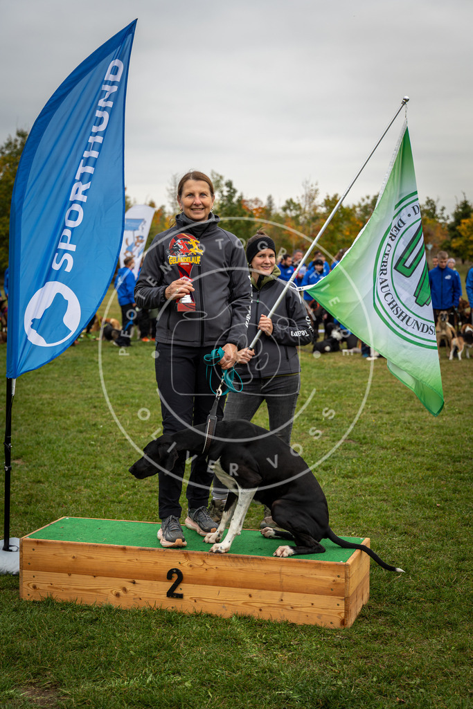 Pfotenfotografie_0L8A0387 | Hundefotografie, Tierfotograf, Pfotenfotografie, Fotoshooting Hund, Hunde Portrait, Hundesport, Hundeportraits, Heideshooting, Hunde, Sportfotograf, Hundefotograf, Turnierhundsport, THS,  - Realisiert mit Pictrs.com