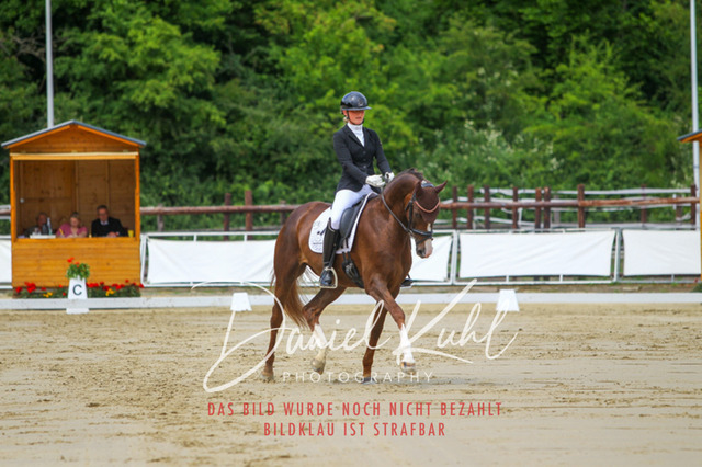 DKP46178 | Turniersportfotografie; Pferdefotografie; Dressurfotografie