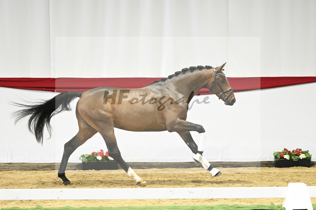 Kat-Nr. 73 v. Escamillo_Capezutto_63220721 | hf-fotografie - Realizzato con Pictrs.com