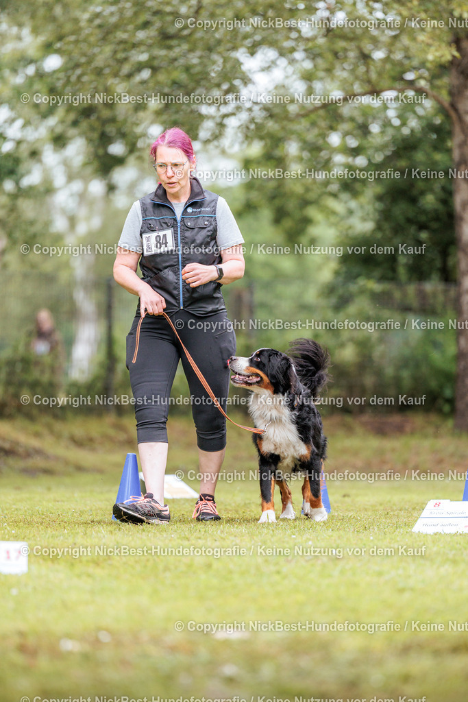 RO-Blumenthal-2026-Nickbest-Hundefotografie-3807 | Dein Hund! Dein Moment! Deine Erinnerungen! Hundefotografie in Bremen Blumenthal. Ich fange die besonderen Momente deines Vierbeiners ein – ob Indoor mit Blitzanlage oder in der freien Natur. Sicher dir dein Moment und dein Termin für eure Erinnerungen.