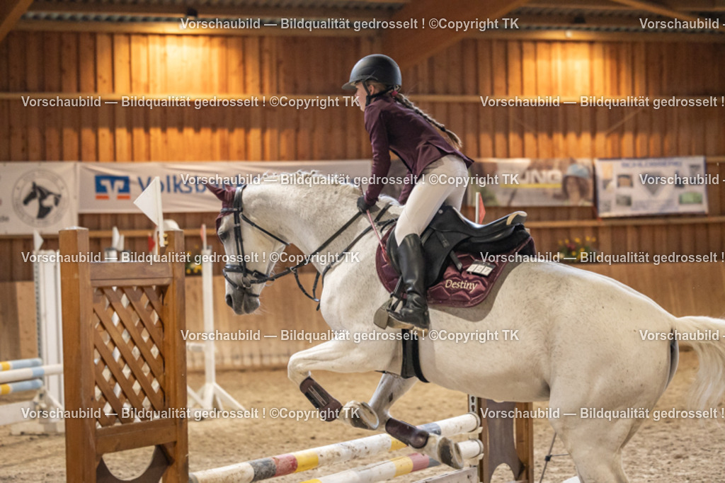 _D5A0300 | Emotionale Pferde- & People-Fotografie rund um Heidelberg, Leimen & Umgebung. Natürliche Fotos von Pferd, Mensch & Familie. Jetzt Termin sichern!