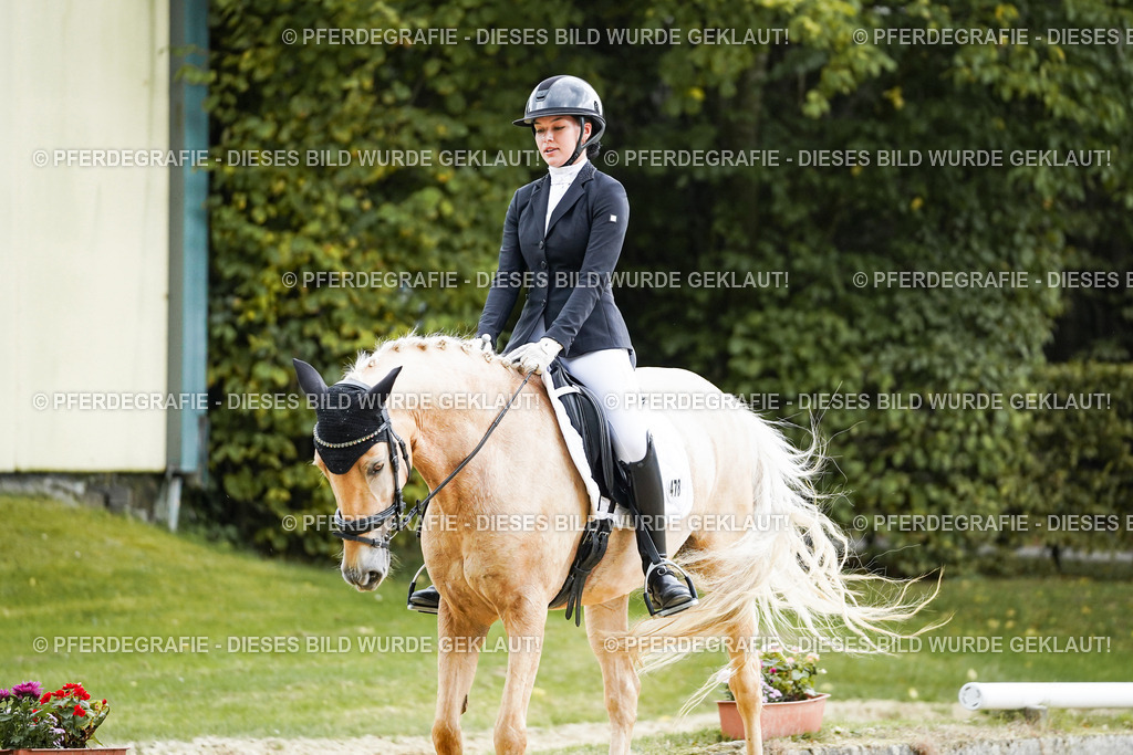 DSC06806 | Pferdegrafie