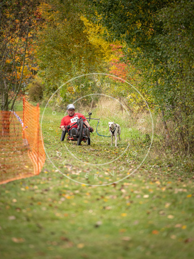 Pfotenfotografie_DV3A3488 | Hundefotografie, Tierfotograf, Pfotenfotografie, Fotoshooting Hund, Hunde Portrait, Hundesport, Hundeportraits, Heideshooting, Hunde, Sportfotograf, Hundefotograf, Turnierhundsport, THS,  - Realisiert mit Pictrs.com