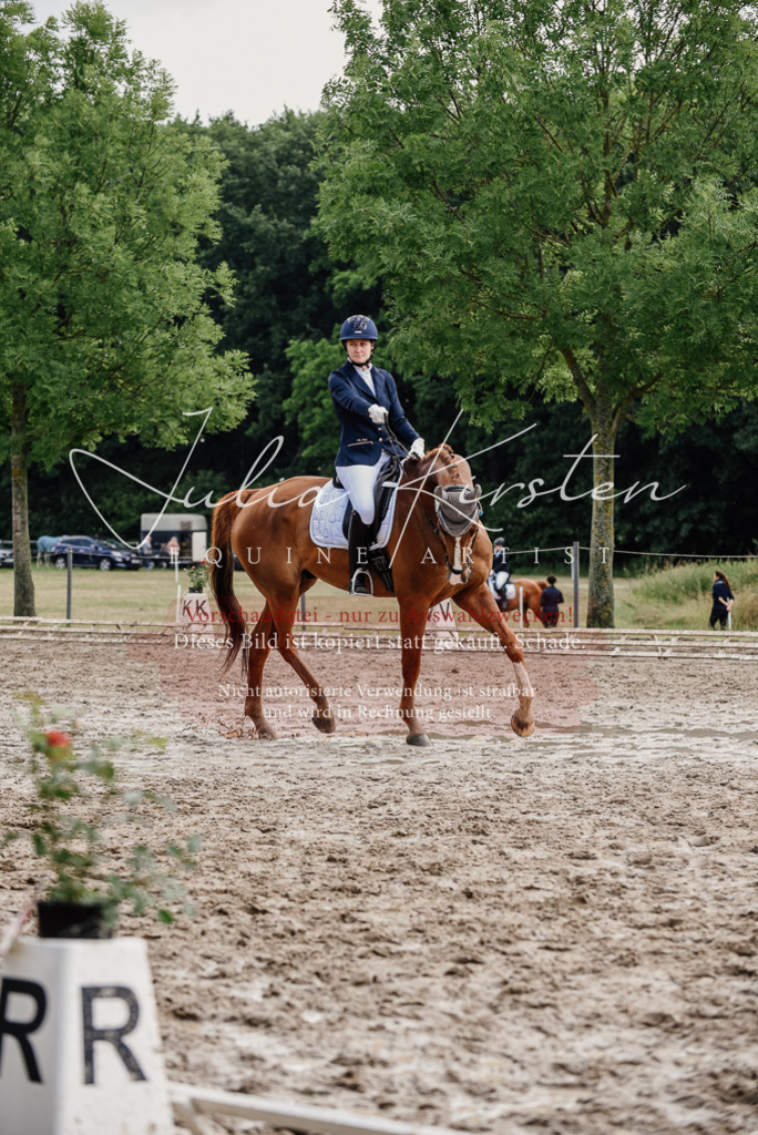 DSC_9898 | Pferde- und Turnierfotografie in Westsachsen. Pferdeportraits, Auftragszeichnungen und intuitive Kunst.