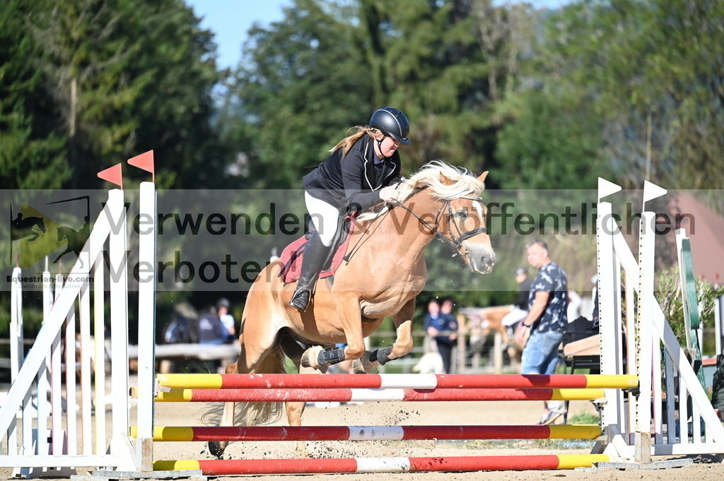 DSC_7906 | equestrian-live-com