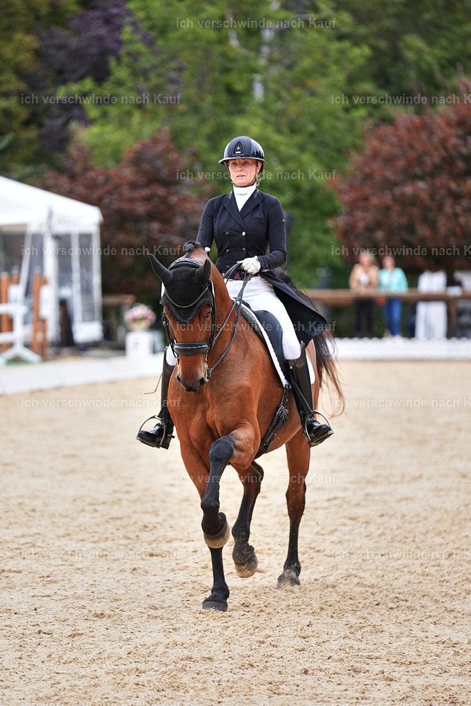 11-189-Dressur S___-Marixx-1778 | working equitationturnier fotograf videograf stoibphotography marixx film working equitation deutschland reitsport turnierfotografie eventfotografie equestrian events