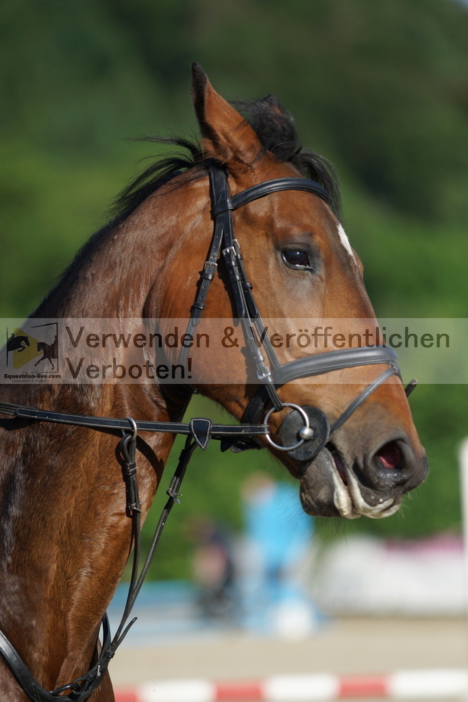 DSC05921 | equestrian-live-com