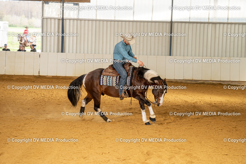 MIT01092 | dv-media-shop - Realisiert mit Pictrs.com