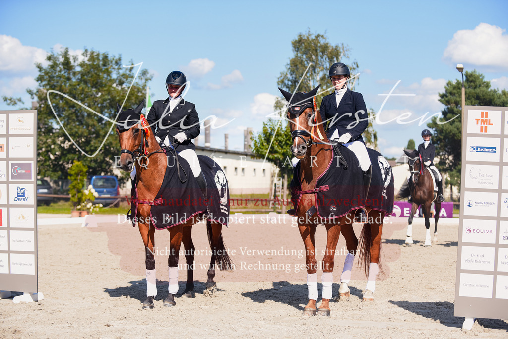 DSC_9777 | Pferde- und Turnierfotografie in Westsachsen. Pferdeportraits, Auftragszeichnungen und intuitive Kunst.