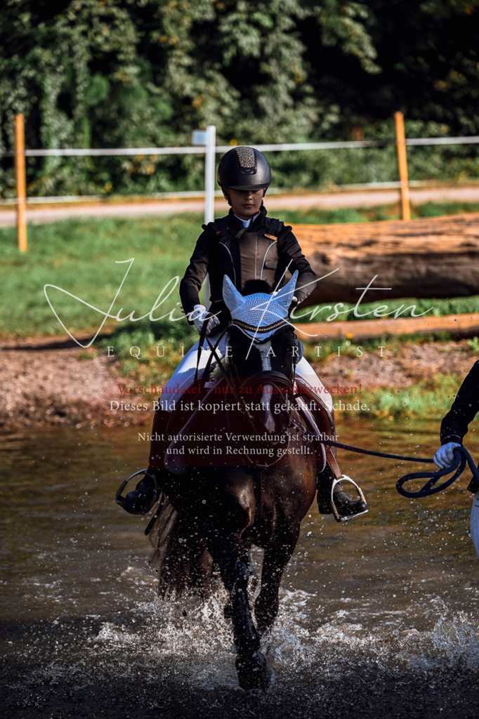 DSC_0391 | Pferde- und Turnierfotografie in Westsachsen. Pferdeportraits, Auftragszeichnungen und intuitive Kunst.