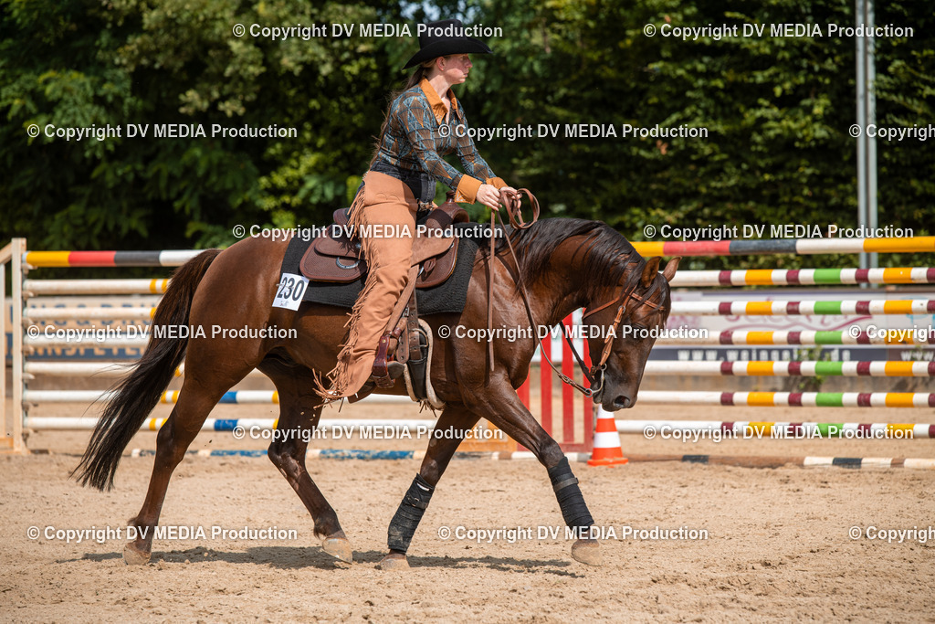 EWP_6002 | dv-media-shop - Realisiert mit Pictrs.com