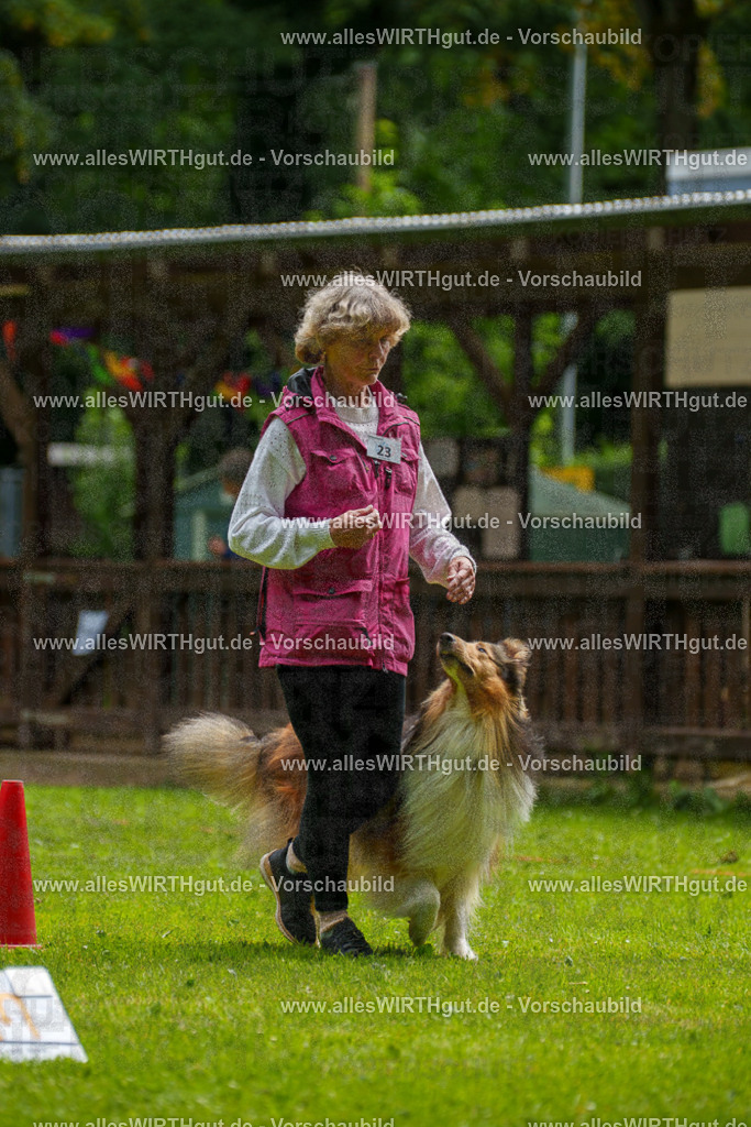 @allesWIRTHgut_Tierfotografie - www.allesWIRTHgut.de - 095143-7R507755 | Professionelle Tierfotografie in Mönchengladbach von Daniel Wirth (allesWIRTHgut). Liebevolle & natürliche Bilder von Hunden & Katzen für unvergessliche Erinnerungen.