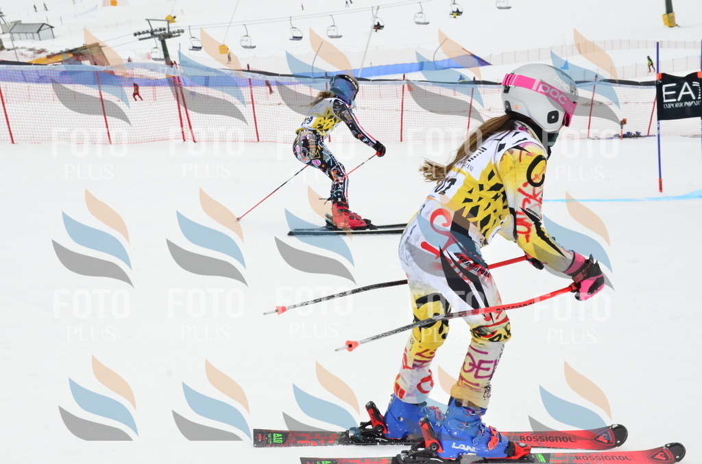 _ELE4127 | holidayphoto