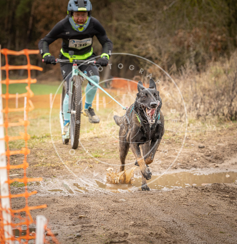 DV3A1479 | Hundefotografie, Tierfotograf, Pfotenfotografie, Fotoshooting Hund, Hunde Portrait, Hundesport, Hundeportraits, Heideshooting, Hunde, Sportfotograf, Hundefotograf, Turnierhundsport, THS,  - Realisiert mit Pictrs.com