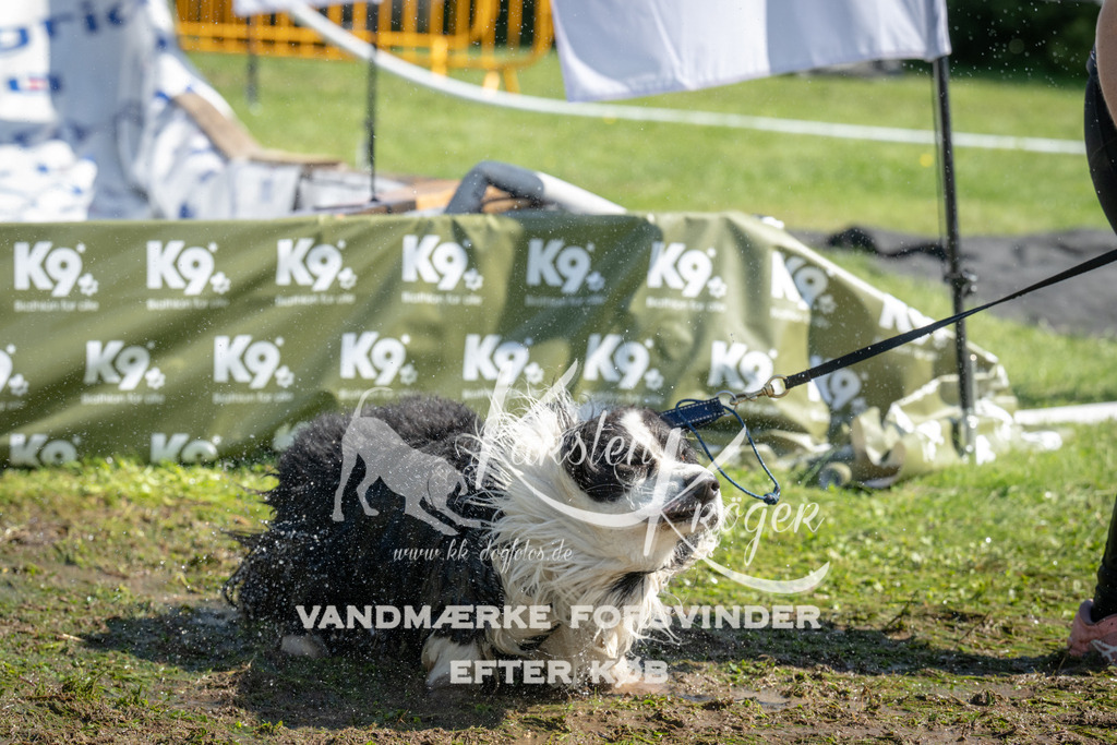 1133_ZZ92602 | kk-dogfotos