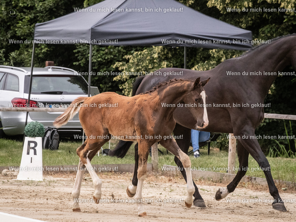 A10I9929 | photographylinaismer - Realisiert mit Pictrs.com