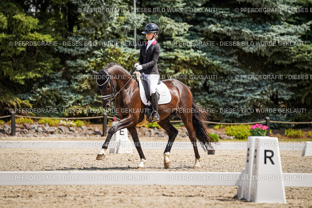 DSC01597 | Pferdegrafie