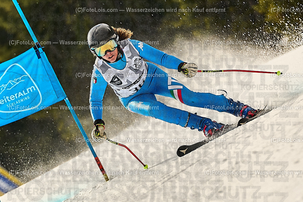 _WWO3660_MASTERS-WM_Reiteralm_CD-SG_VITTORI VENENTI Benedetta | FISWORLD CHAMPIONSHIPSMASTERS ALPINE SKIING, 23. – 28. MÄRZ 2026 - REITERALM | STMK | AUT.   Veranstaltet vom Masters-Referat des Deutschen Skiverbandes (DSV). Durchführende Organisation: WSV Pichl-Reiteralm, unterstütutzt von den Bergbahnen REITERALM bei Schladming und SKI AUSTRIA.                            Disziplinen:  Super-G, GiantSlalom, Slalom.                                                 Kategorien:  A (Herrn 30-59 Jahre), B (Herrn ab 60 Jahre), C (Damen 30-59 Jahre), D (Damen ab 60 Jahre).                Rennstrecken:   Gasselhöhe und Muldenliftpiste auf der Reiteralm.