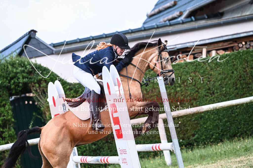 DSC_8045 | Pferde- und Turnierfotografie in Westsachsen. Pferdeportraits, Auftragszeichnungen und intuitive Kunst.