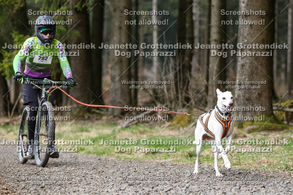 Dog Paparazzi - VCC26-525 | Dog Paparazzi Jeanette Grottendiek Fotografie & Videografie - Realisiert mit Pictrs.com