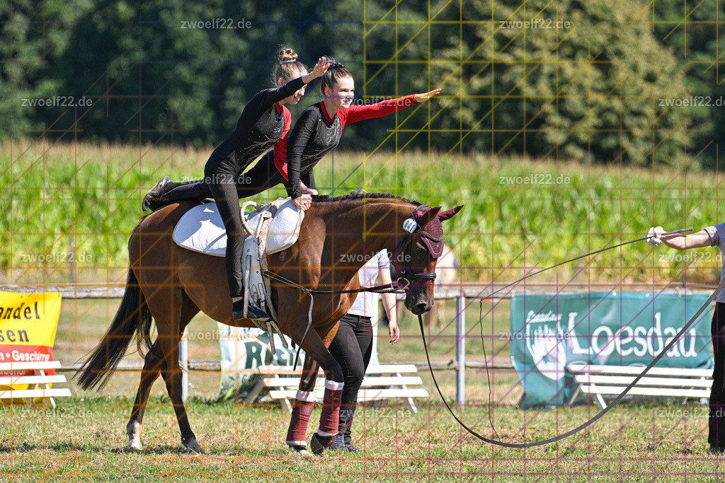 30 Jahre RFV Pulsnitz e.V., Pulsnitz am 09.08.2026 | 30Jahre Reit- und Fahrverein Pulsnitz e.V., Pulsnitz am 08.08.26, Zur 28. breitensportlichen Veranstaltung des RFV Pulsnitz e.V. fanden verschiedene Wettbewerbe in nahezu allen Disziplinen des Pferdesport statt.- Voltigier-Wettbewerb im Schritt - Realisiert mit Pictrs.com