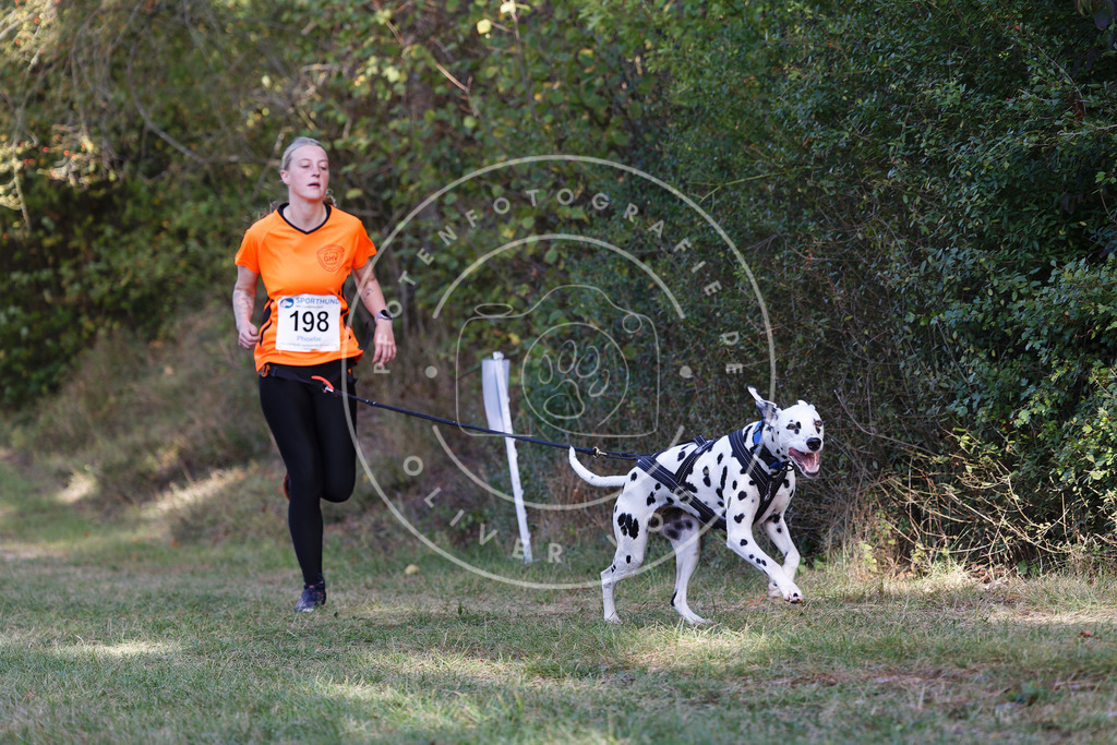 0L8A5738 | Hundefotografie, Tierfotograf, Pfotenfotografie, Fotoshooting Hund, Hunde Portrait, Hundesport, Hundeportraits, Heideshooting, Hunde, Sportfotograf, Hundefotograf, Turnierhundsport, THS,  - Realisiert mit Pictrs.com