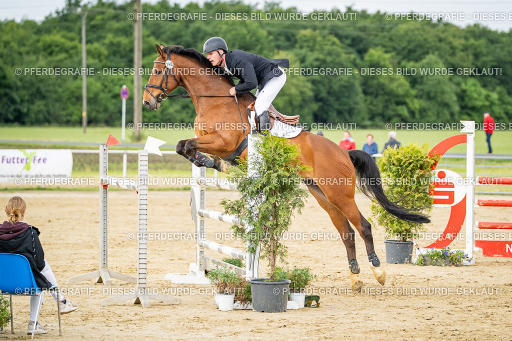 DSC06611 | Pferdegrafie