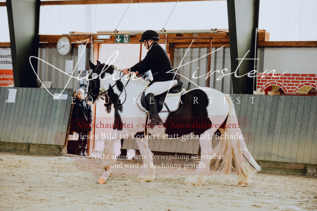 DSC_6757 | Pferde- und Turnierfotografie in Westsachsen. Pferdeportraits, Auftragszeichnungen und intuitive Kunst.