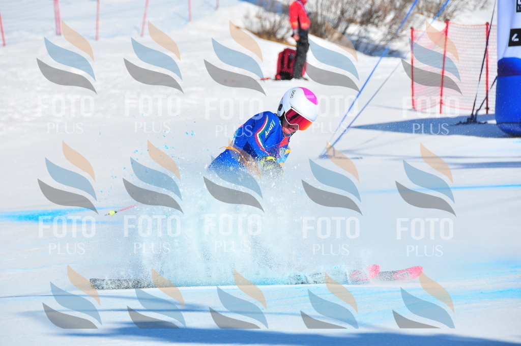 DSC_3731 | holidayphoto