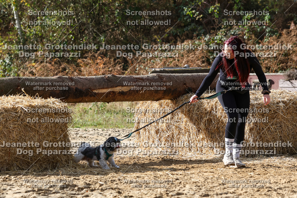 Dog Paparazzi - Strongdog 10-25-5675 | Dog Paparazzi Jeanette Grottendiek Fotografie & Videografie - Realisiert mit Pictrs.com