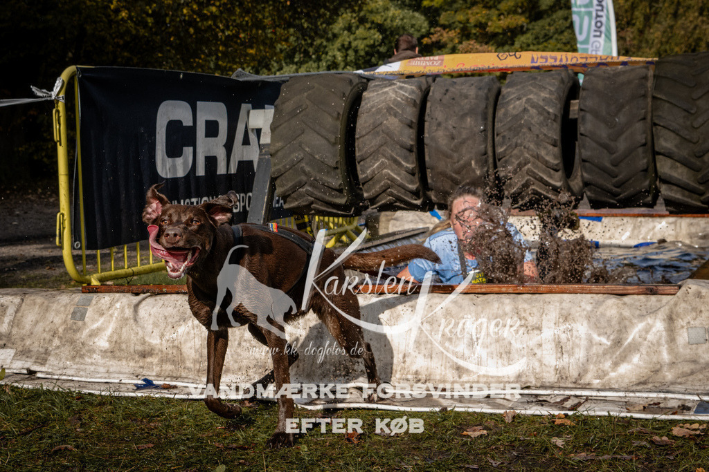 1342_ZZ92867 | kk-dogfotos