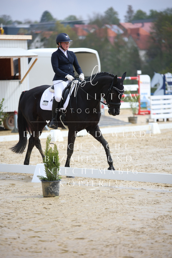 IMGT3084 | pl-fotografie