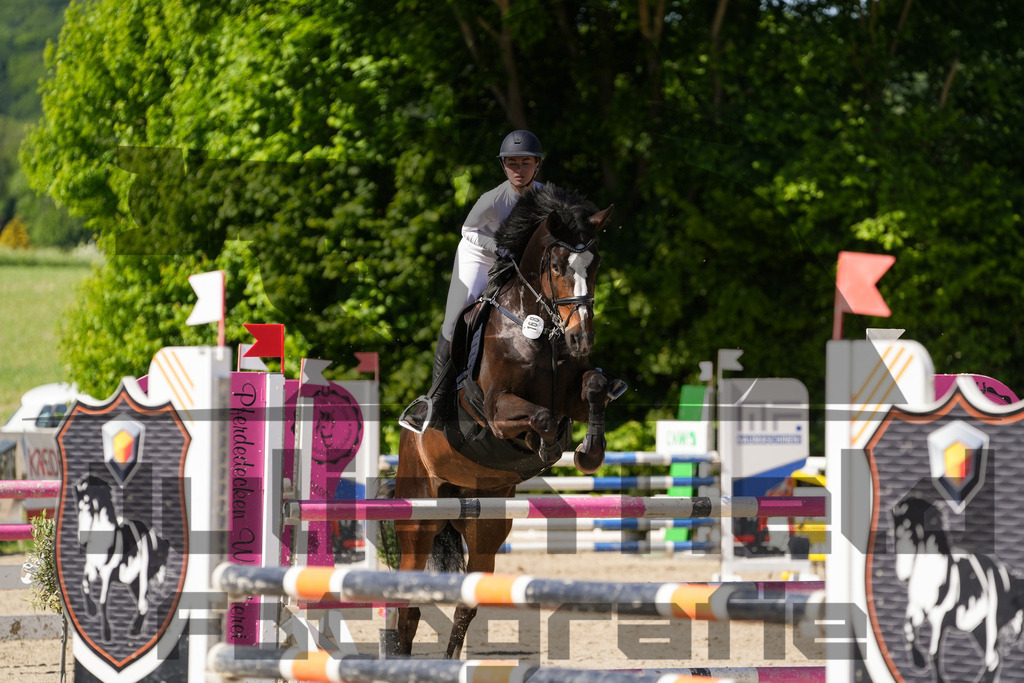 DSC02401 | Julian Held Fotografie - Realisiert mit Pictrs.com