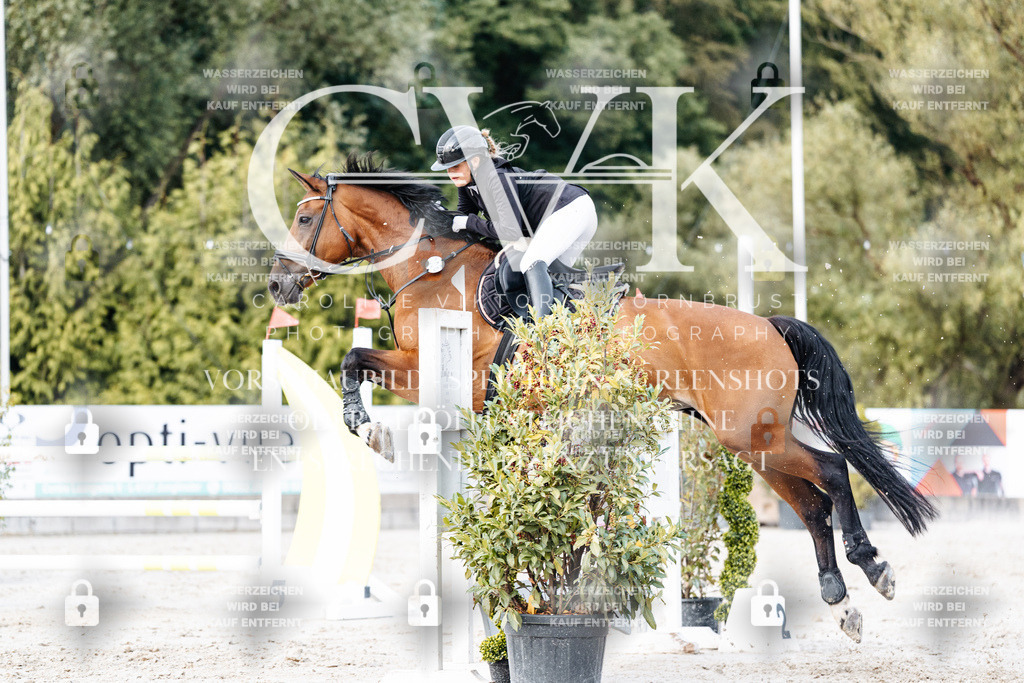 CK903908 | Turnierfotografie Pferdefotografie Trier Rheinland-Pfalz Pferdesport Reitsport Tierfotografie Sportfotografie Pferdevideo Pferdevideografie Equestrianvideography equestrianphotography  - Realisiert mit Pictrs.com