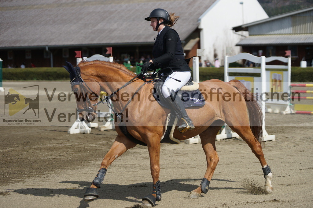 DSC04138 | equestrian-live-com